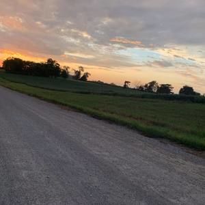 Meet your Posher, Ash